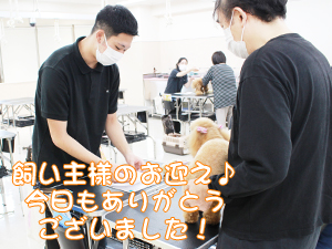 お客様の接客＆トリミング♪